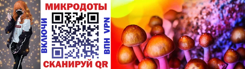 Псилоцибиновые грибы Cubensis Купить закладки Змеиногорск