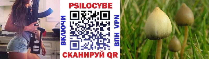 Галлюциногенные грибы мухоморы Змеиногорск